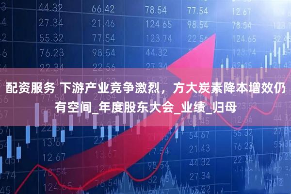 配资服务 下游产业竞争激烈，方大炭素降本增效仍有空间_年度股东大会_业绩_归母